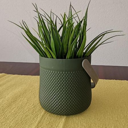 Center Apartment Delfina オフリド エクステリア 写真