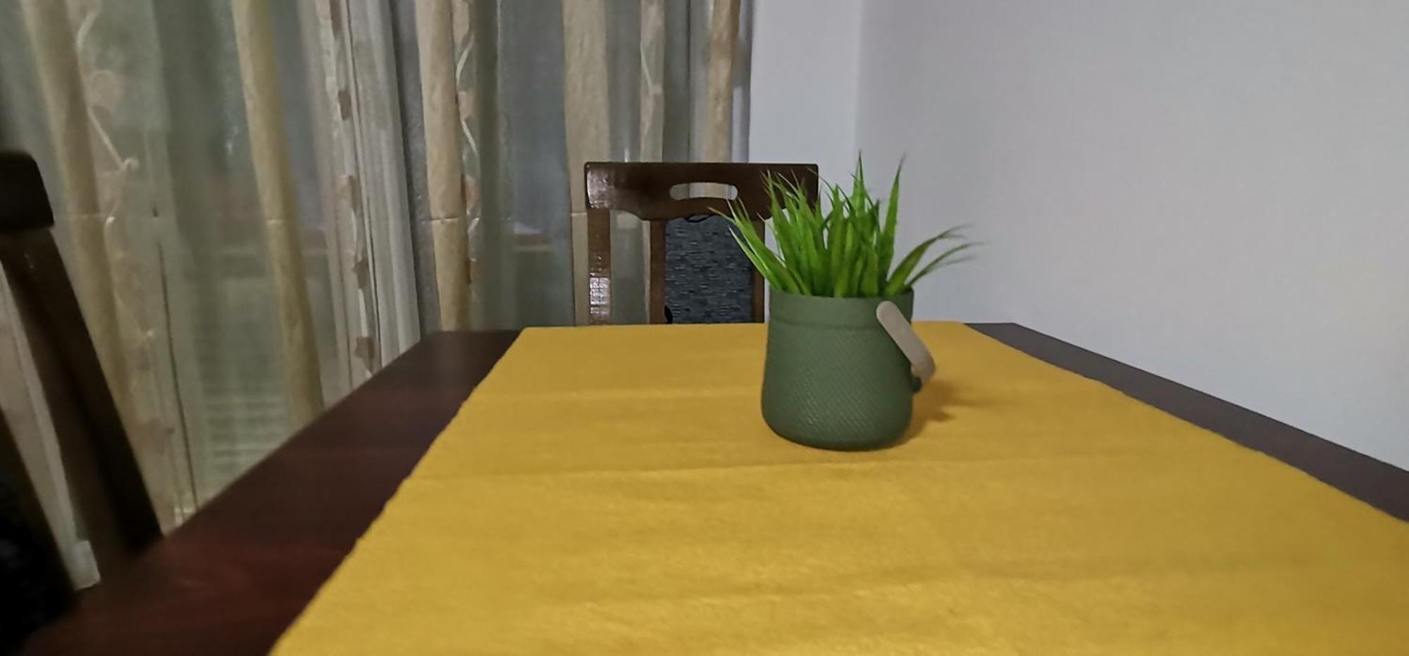 Center Apartment Delfina オフリド エクステリア 写真